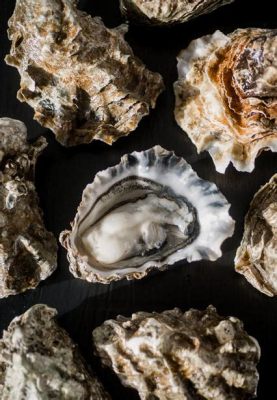  Hama Hama Oyster: Uma Delícia Marinha que Filtra Água com Elegância e Sabor!